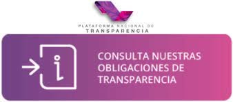 CONSULTA OBLIGACIONES TRANSPARENCIA